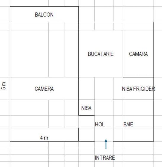 Garsoniera 42mp Zona Gemenii - 10
