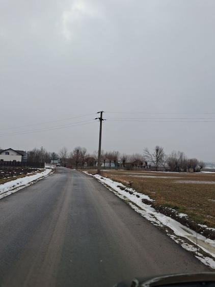 Vand loc de casa in Zvoristea 36 ari - 6