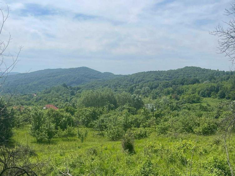 Teren de vanzare, peisaj superb, aproape de autostrada Pitesti-Sibiu - 6