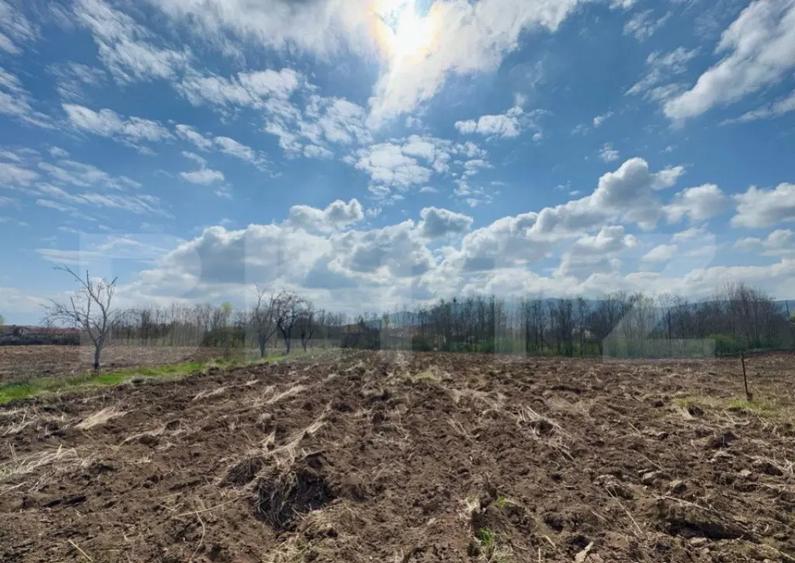 Teren intravilan de vanzare, 1500 mp, zona ?oimu? - 2