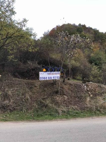 Teren intravilan Baile Herculane - 6