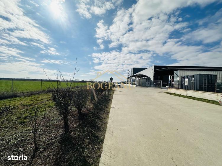 BG141-Teren-46.400 mp-Front 300 ml acces TIR | INCONTRO-Calea Sagului - 1