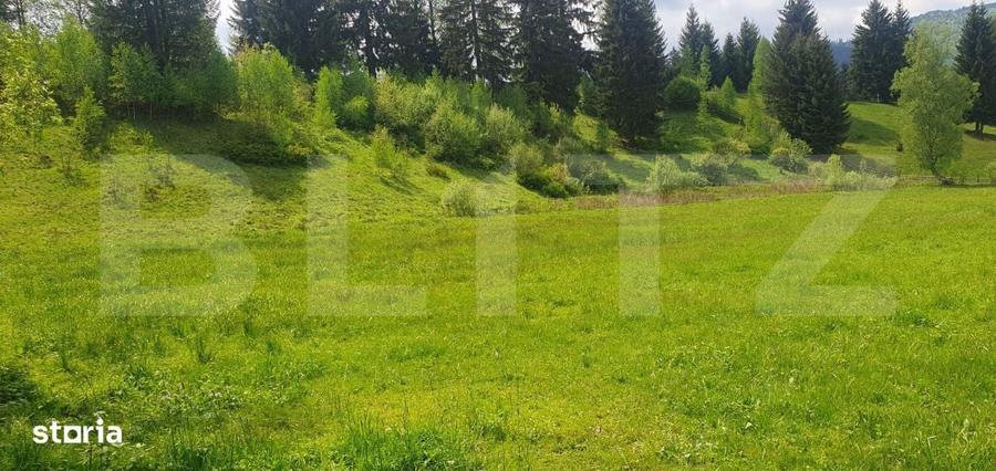 Teren intravilan, 2411 mp, zona Saru Dornei - Vatra Dornei. - 1
