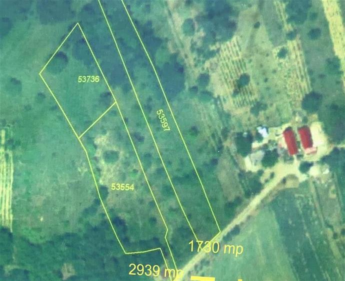 TEREN EXTRAVILAN  |  1730 MP |  UILEACUL DE CRIS | BIHOR - 1