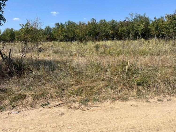 Teren intravilan 5744 mp Mosoaia-Prunilor - 3