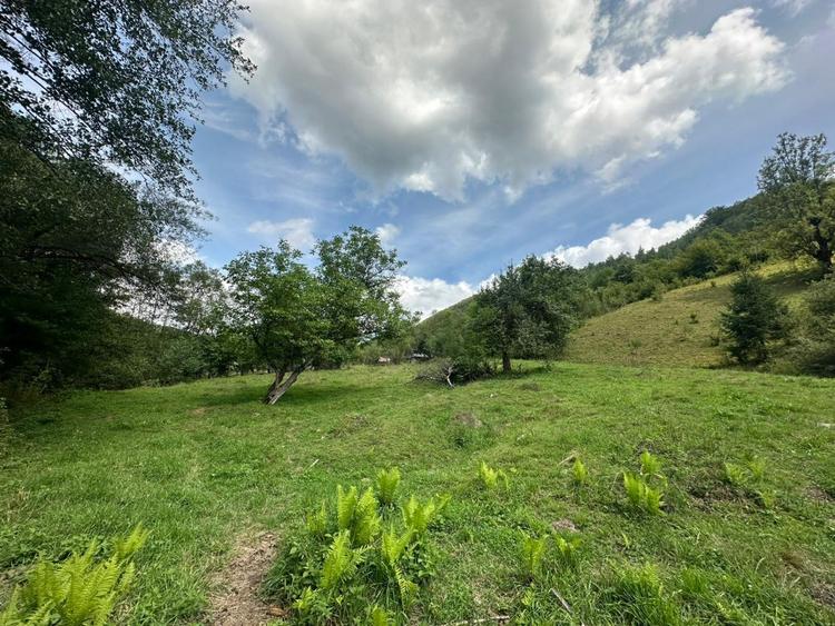 Teren 2 hectare pe Valea Ariesului, zona Scarita-Belioara, pret oportun 2 Eur/mp - 8