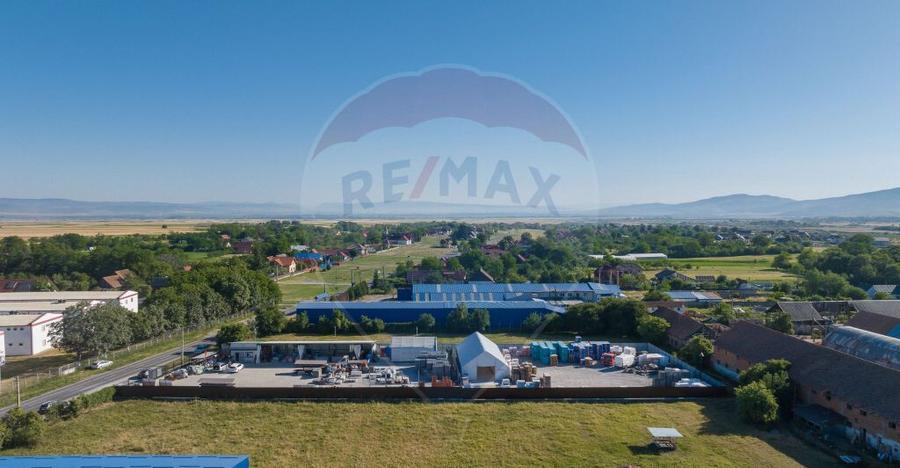 Teren Industrial, 3300 mp, / DJ 112D, Carpinis - 11