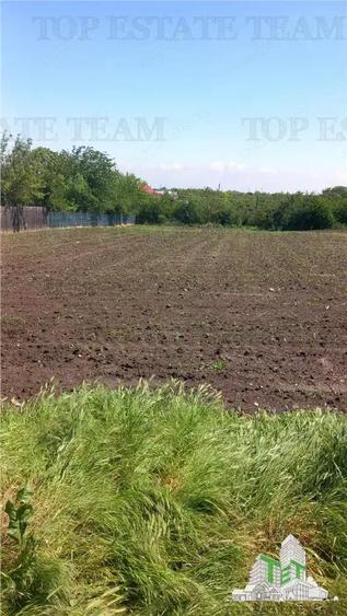 Teren Stanesti - Giurgiu, intravilan, drum asfaltat, gaz, curent - 1