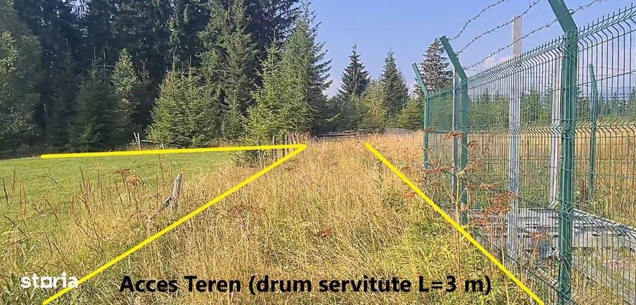 Vatra Dornei - Saru Dornei, Teren S = 6450 mp; 13 km de Vatra Dornei - 6