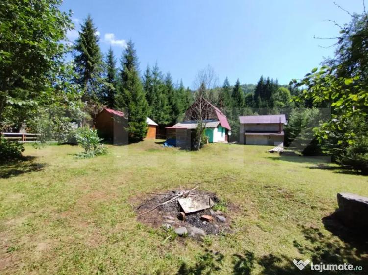 Cabana 4 camere Lunca Bradului - 16