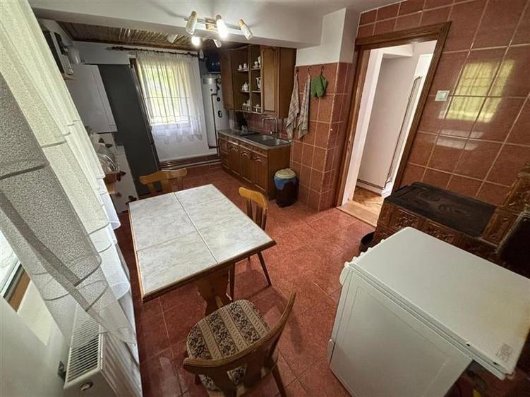 VILA DEOSEBITA IN SLATINA - LUNCANI - OAZA DE LINISTE LA MARGINEA PADURII - 8