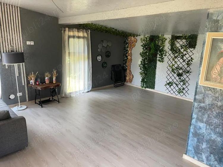 cananuta budeasa mica ( pitesti , maracineni ) - 5