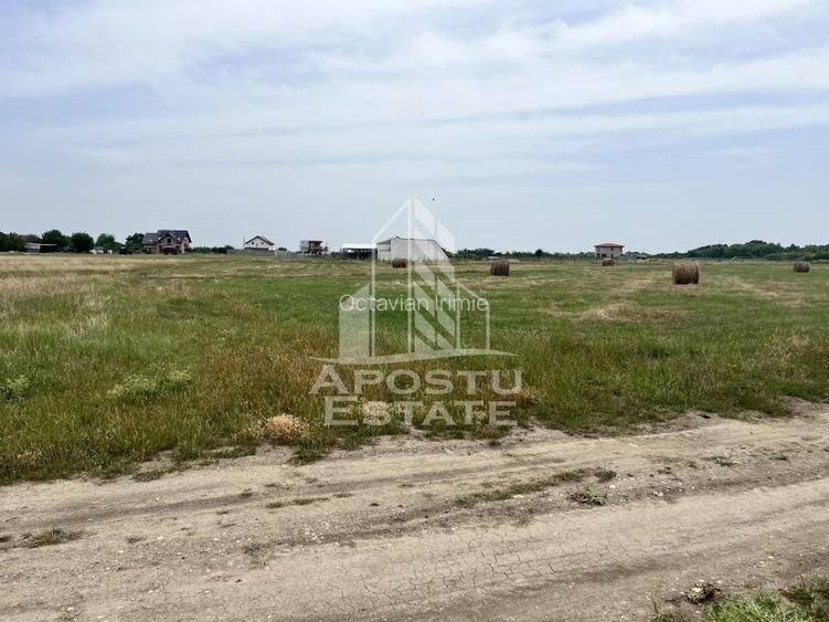 Teren intravilan pentru hala 1518 Remetea Mare in apropiere de Bega
