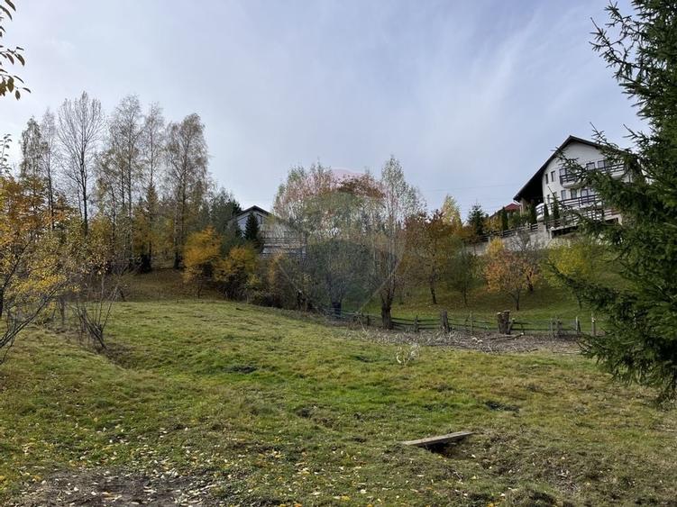 Teren de Vis in Bran - 1000mp Plat, Liniste Absoluta si Aer Curat - 19