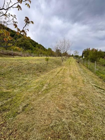 Teren de vanzare zona Valisoara Jud Alba - 1