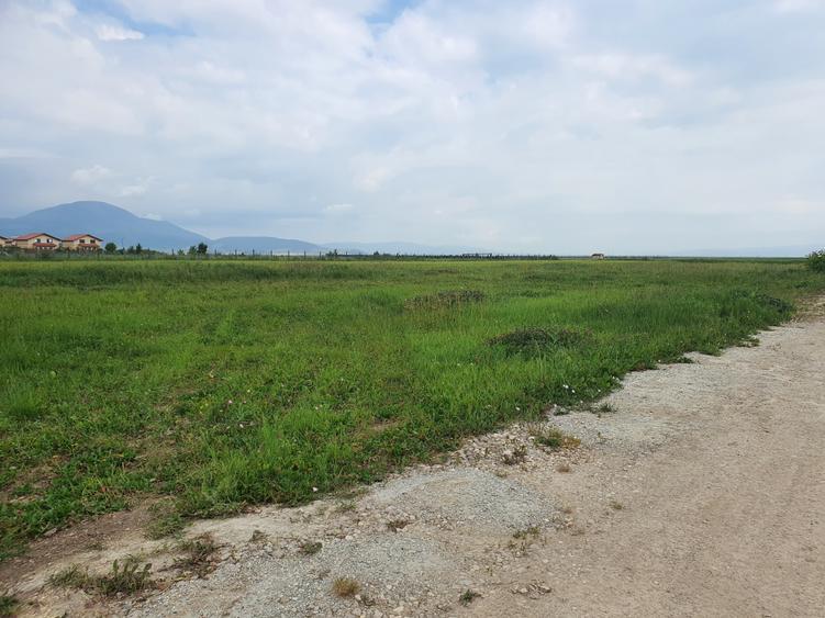 Lot casa Cristian Brașov - 9