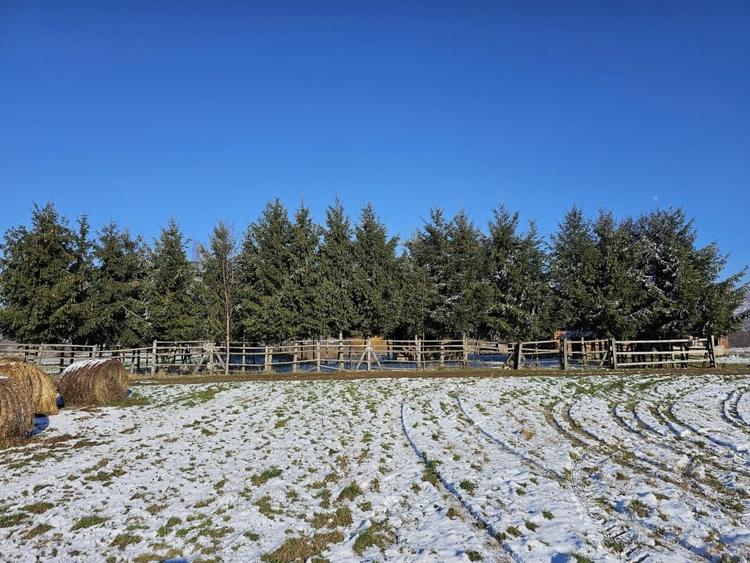 Casă de vacanță cu 6 camere + teren suprafață 7.384 mp, Brădet, Bihor - 2