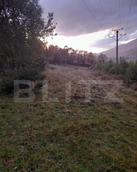 Teren intravilan de vanzare, 2280 mp, Vatra Dornei - 8