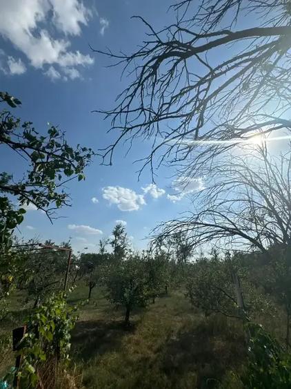 Casă cu 5 camere | Pivniță și Livada | Aproape de București | - 13