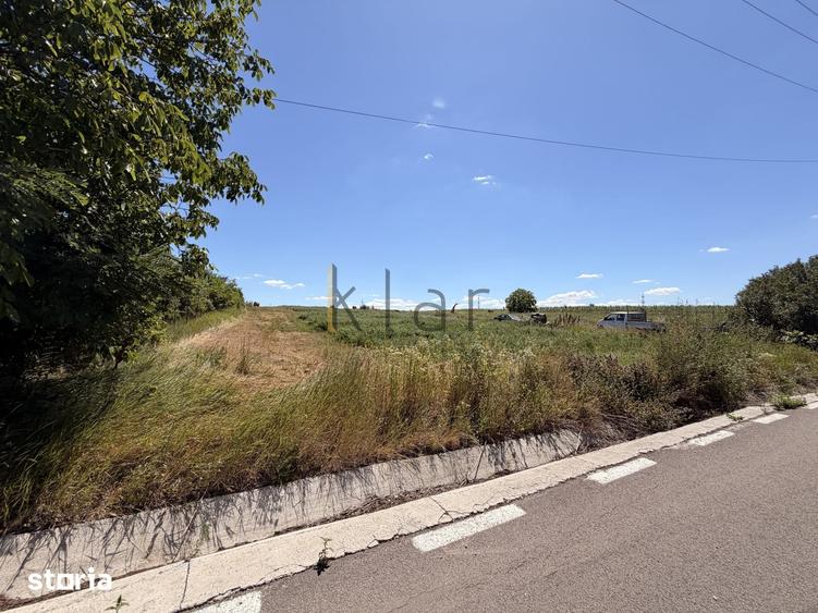 Teren 2.900 mp - 900 mp intravilan Jucu de Sus Panorama Investitie - 3