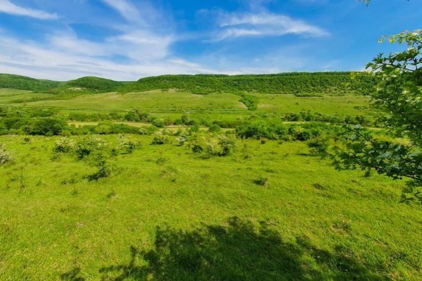 Teren extravilan superb în satul Ciumăfaia, comuna Borșa, Cluj. - 2