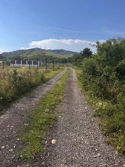 Teren intravilan - 1