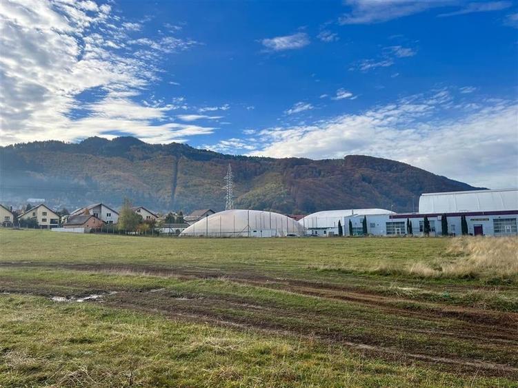 TEREN INTRAVILAN DEOSEBIT , BUNLOC, SACELE - 3