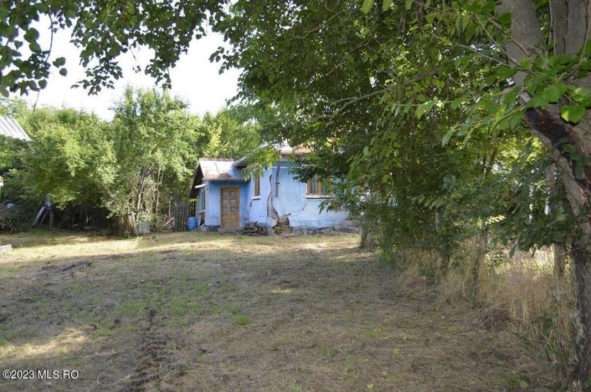 Suseni - Teren intravilan cu casa batraneasca, plan, suprafata 4700 mp! - 12