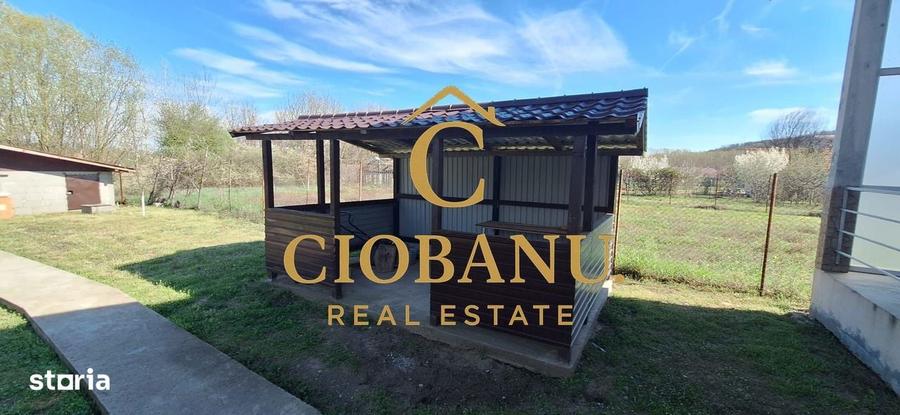 Casa de vanzare in Leamna de Jos - 10