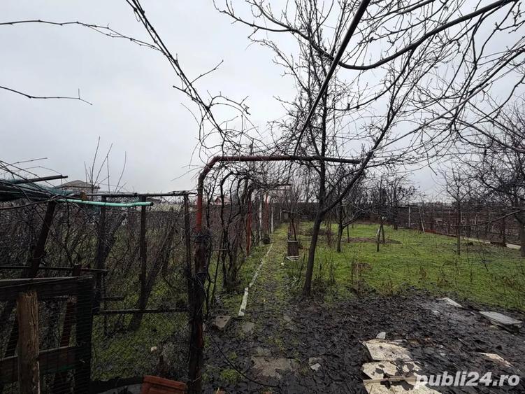 Casa Bariera Valcii Craiova - 4