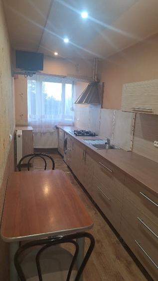 Apartament cu o camera etaj 1 Nufarul - 4