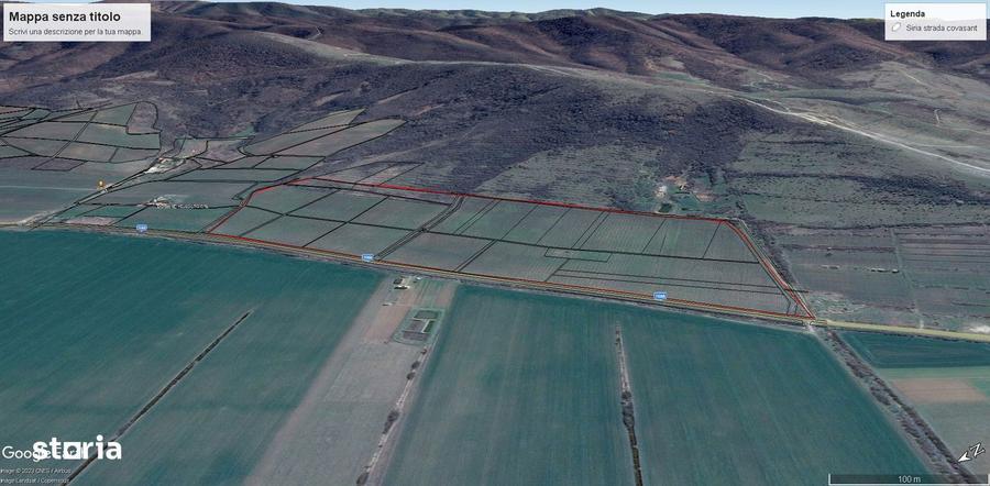 Lot compact 18,57 HA , vita de vie nobila pe rod - 6