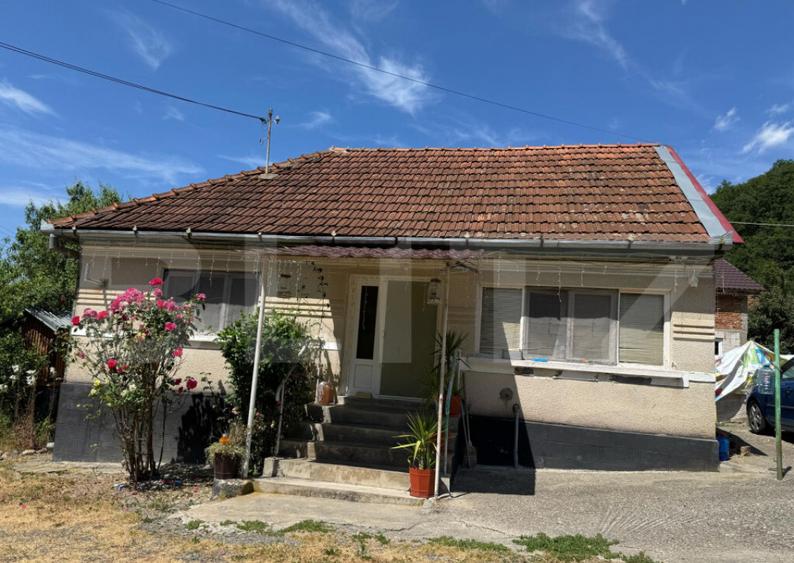 Casa cu 2 camere 53 mp in Lesnic, COMISION 0 PENTRU CUMPARAT - 14