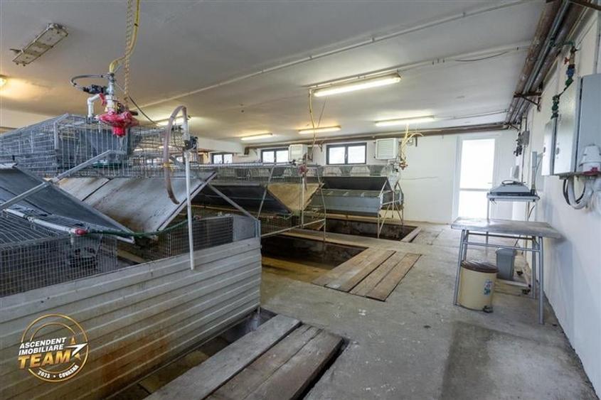 FILM! Ferma de iepuri,Malnas,Covasna: domeniu:comercial/industrial,asset UE - 12