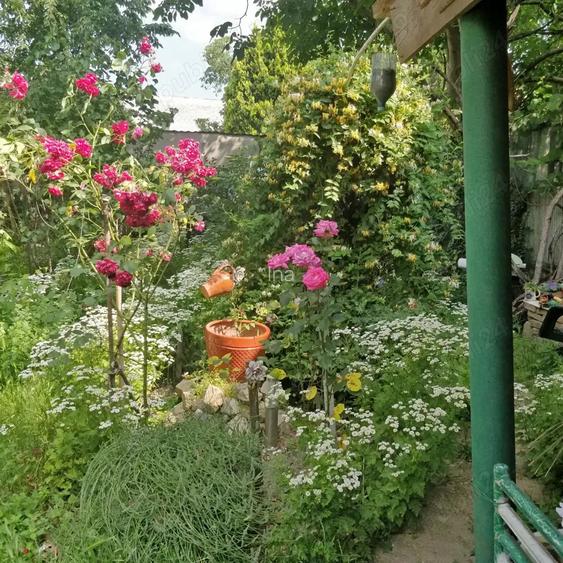 Proprietar apartament la casa zona reziden?iala