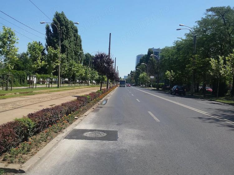 Vanzare Teren construibil 1650 Mogosoaia - 5