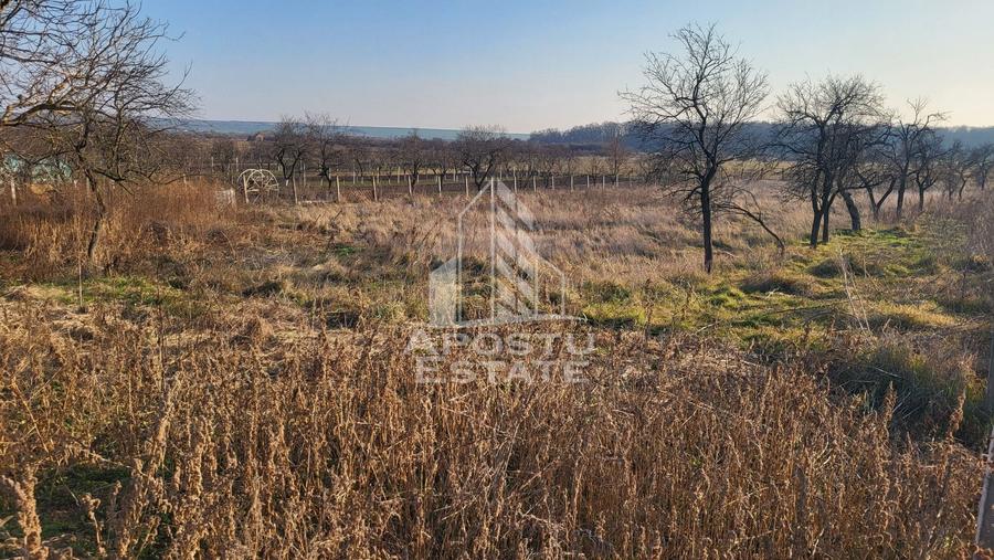 Teren Construcții intravilan de 3844 mp, în Pișchia