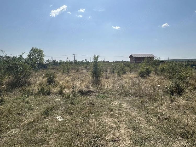Teren de 1040 mp, în Moșoaia