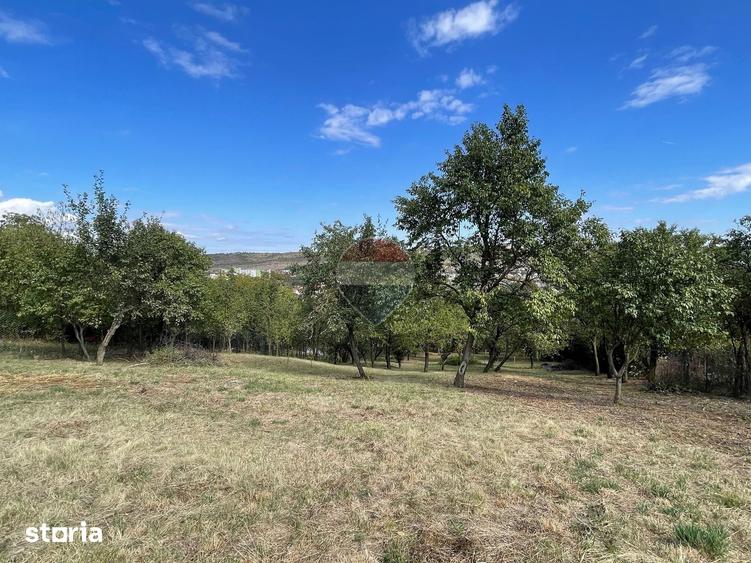 Teren de 2500 mp, în Central