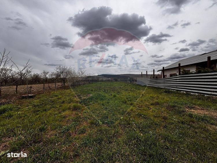 De vanzare teren intravilan 1,186mp Ineu -Strada Principala - 3