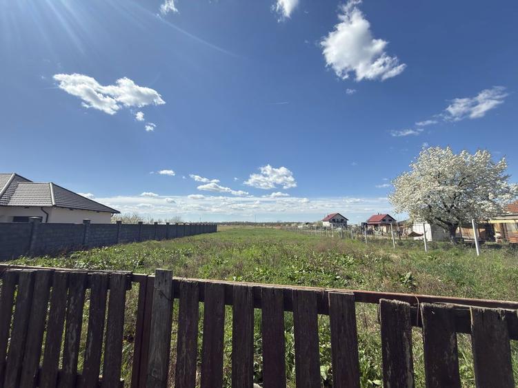 Vand teren intravilan Micula noua - 2