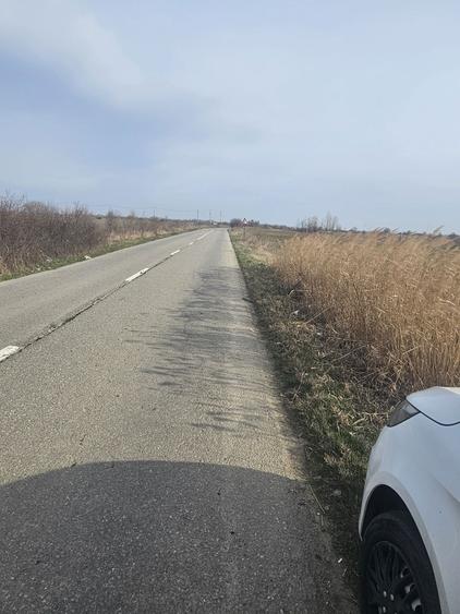 Proprietar! Teren Floresti Stoenesti Palanca DJ 401a - 1