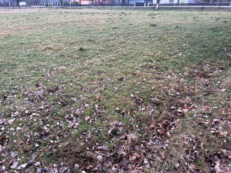 Vand teren intravilan in Horodnic de Sus strada Toplitei 30 ari - 1