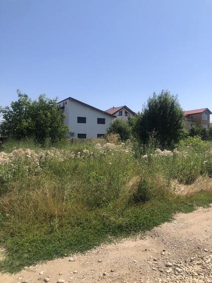 Teren de 1580 mp, în Domnești