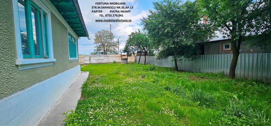 Proprietate com.Bodesti, casa+ anexe + teren 7481 mp - 4