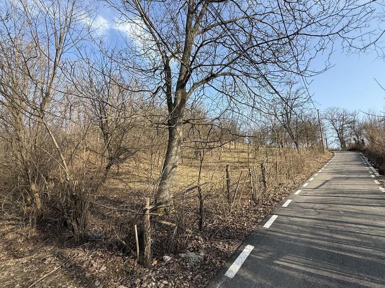 Teren intravilan 2788 mp deschidere 55 ml cu vedere panoramica ! - 19