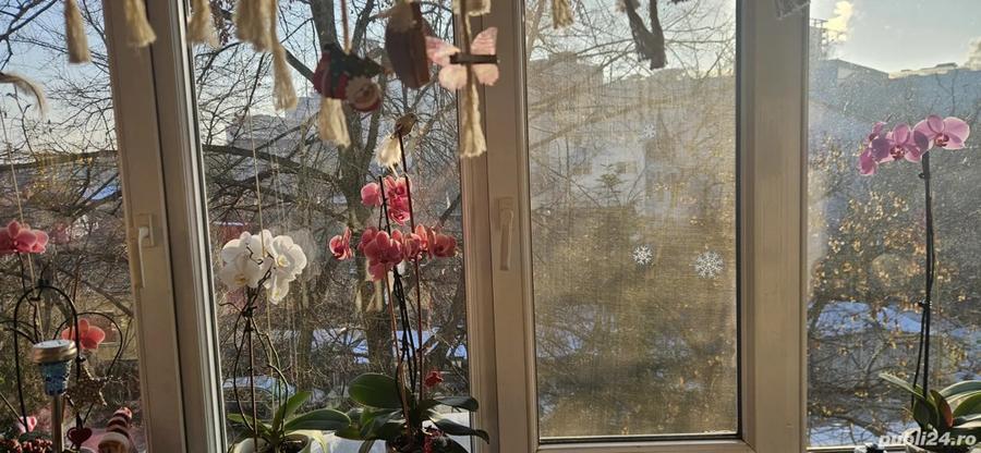 apartament 2 camere str Titan Tipografilor - 8