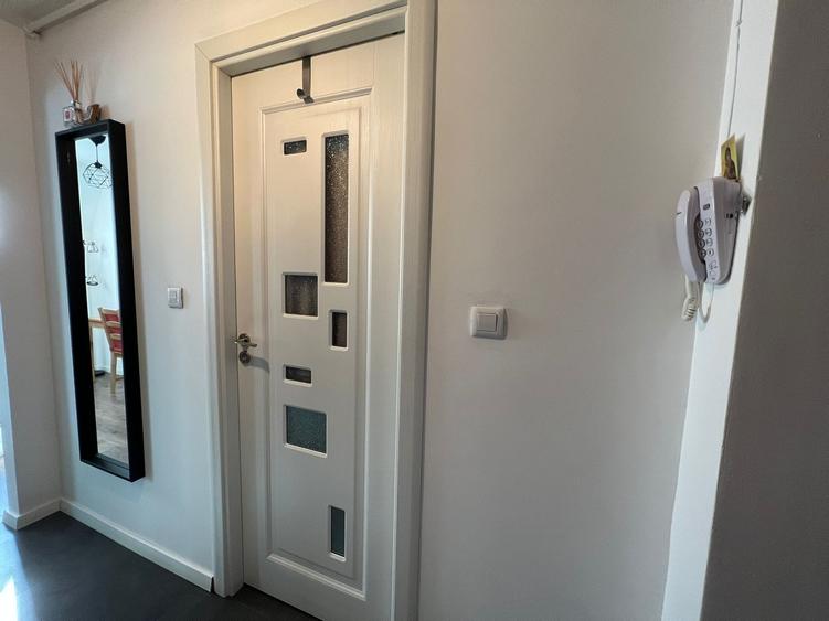 Cartier Brancusi ANL Coloana infinitului - 7