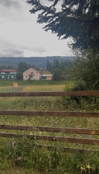 Teren intravilan 2000 mp în Neagra Șarului – zonă liniștită, superbă - 2