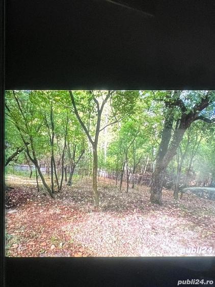 vand casa la tara - 2